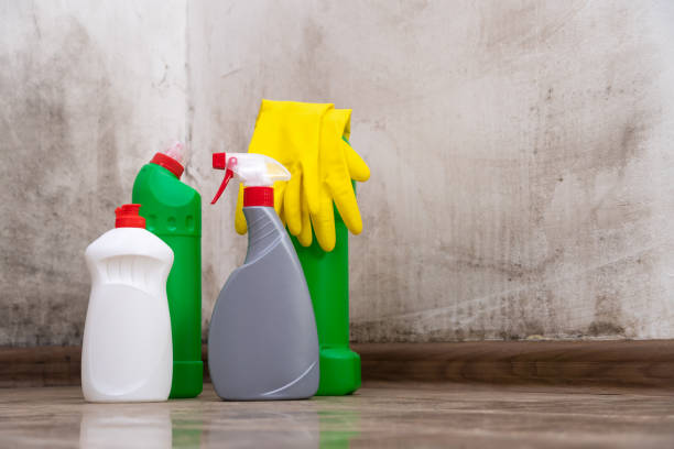 Why You Should Choose Our Mold Remediation Services in Myrtletown, CA